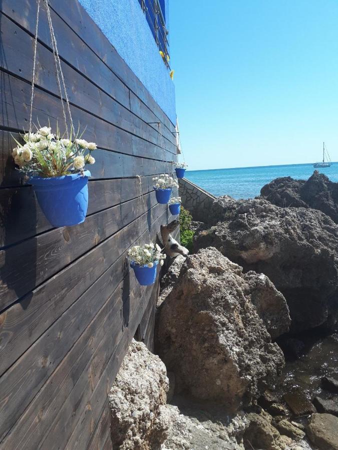 فيلا La Casa Azul أركودي المظهر الخارجي الصورة